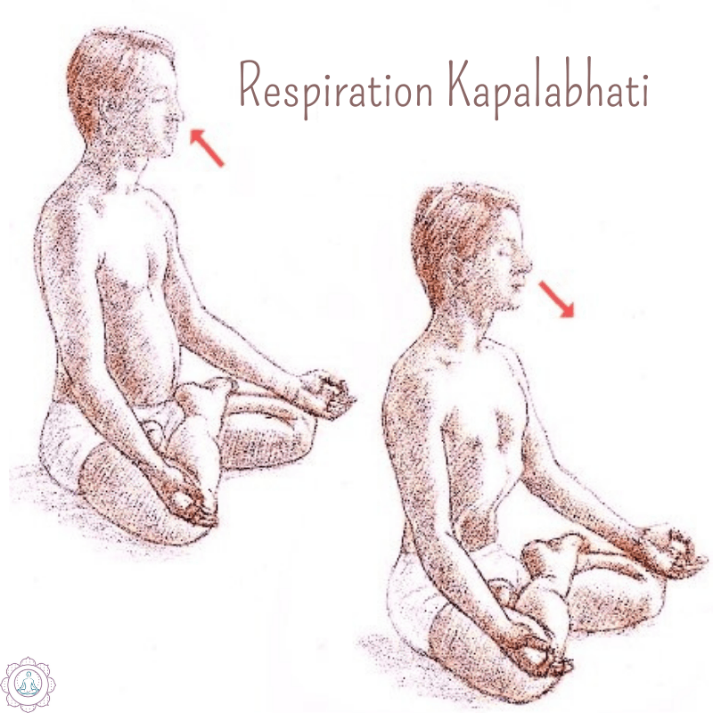 Respiration Kapalabhati - Arbre-sacre
