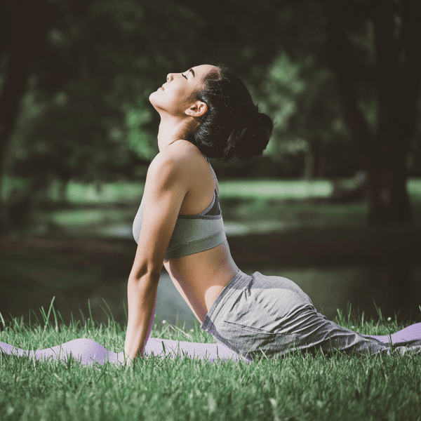 Yoga : qu’est-ce que c’est - Arbre-sacre
